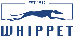 Whippet