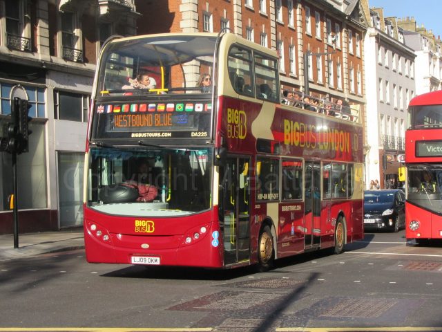 Bus photo 1
