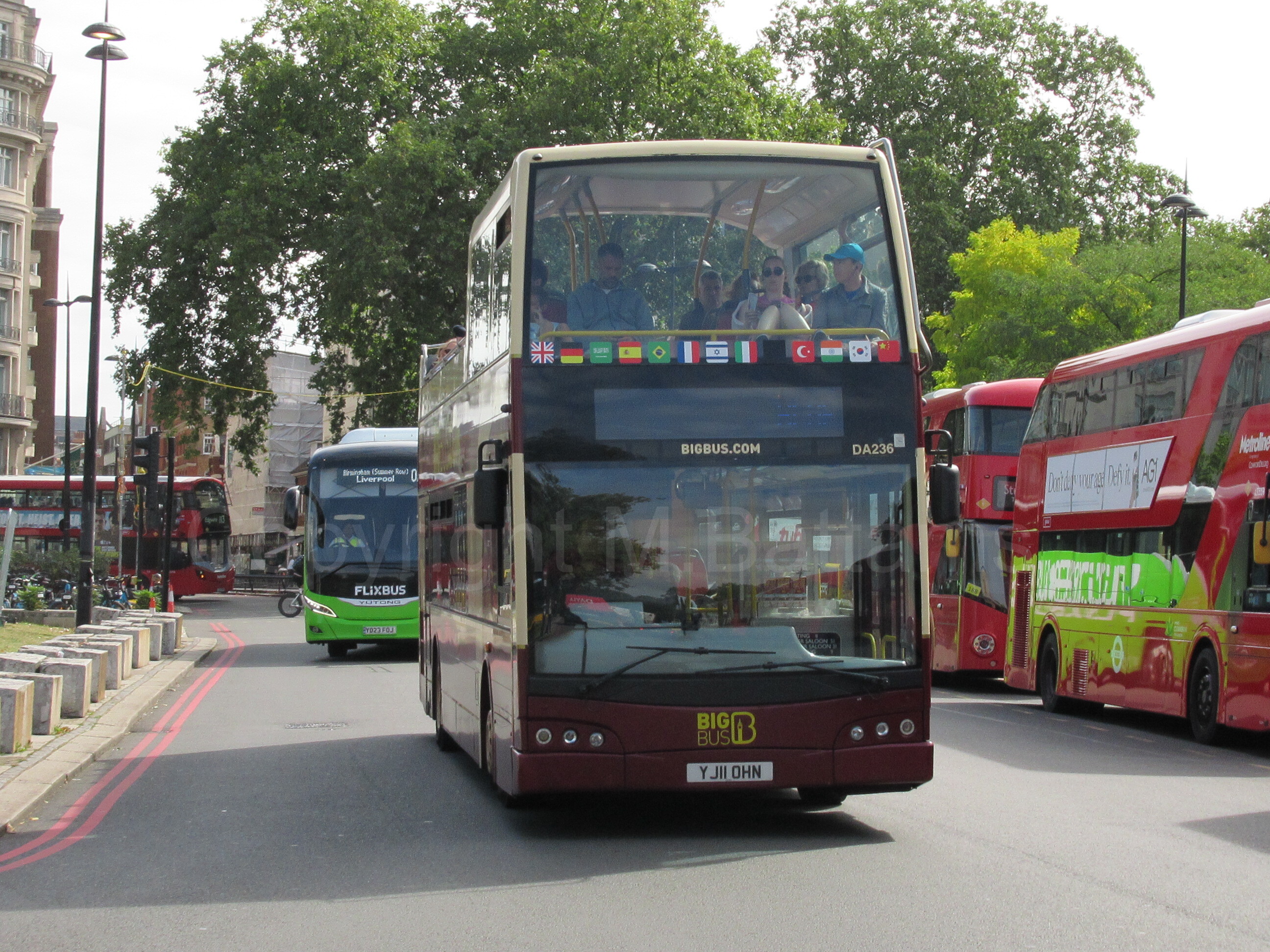 YJ11 OHN